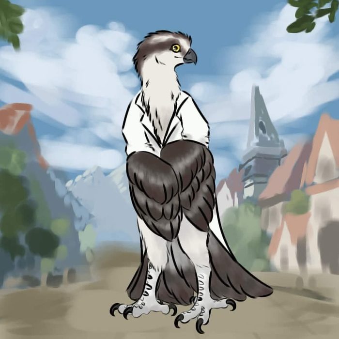 Beakwin, hand illustrated